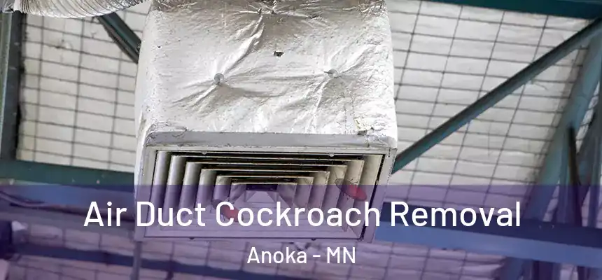  Air Duct Cockroach Removal Anoka - MN