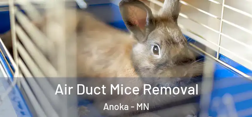  Air Duct Mice Removal Anoka - MN