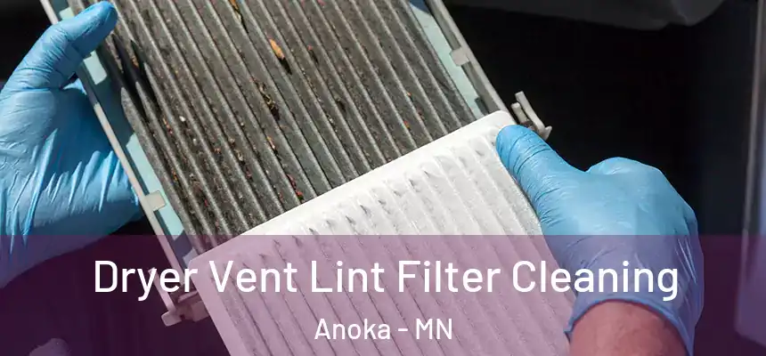  Dryer Vent Lint Filter Cleaning Anoka - MN