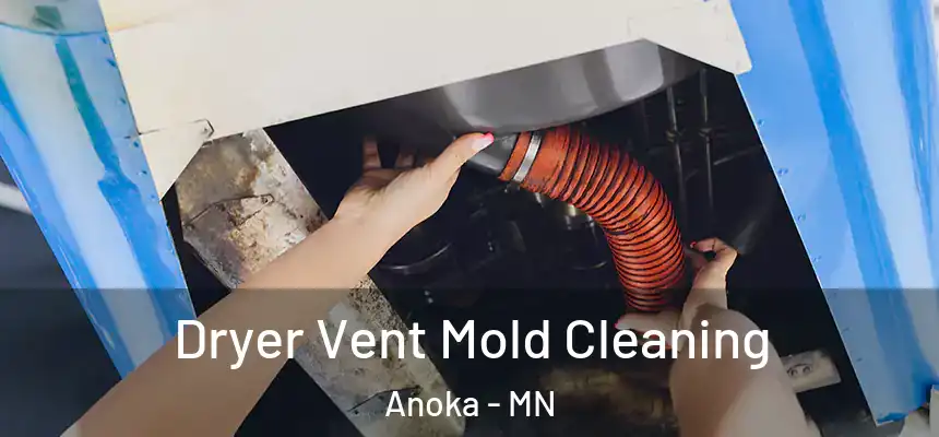  Dryer Vent Mold Cleaning Anoka - MN