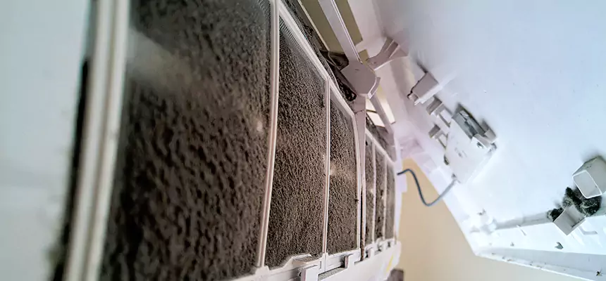 Preventive Air Duct Bacteria Removal in Anoka