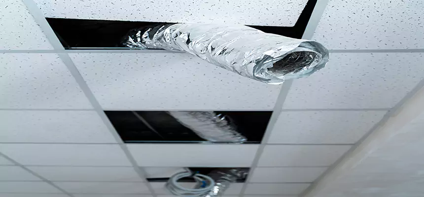 Affordable HVAC Sanitizing After Pest Removal in Anoka