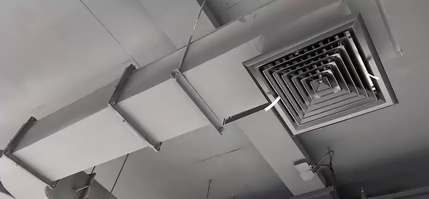 Restorative Allergy Relief Vent Cleaning – Coil, Blower & Housing Detail in Anoka