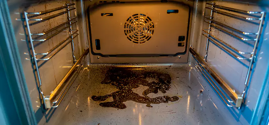 Our Dryer Vent Mold Cleaning Services in Anoka, MN