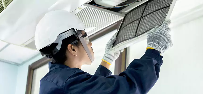 Our Mold & Mildew Removal from Air Ducts Services in Anoka, MN