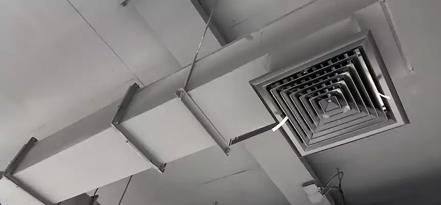 Our Rodent Droppings In Vents Services in Anoka, MN