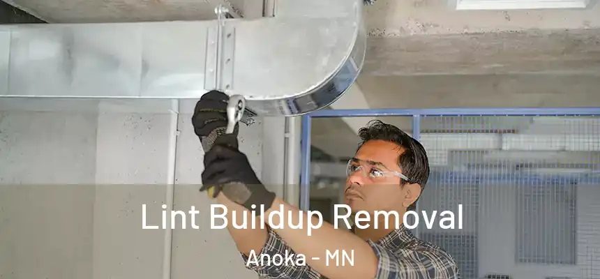  Lint Buildup Removal Anoka - MN