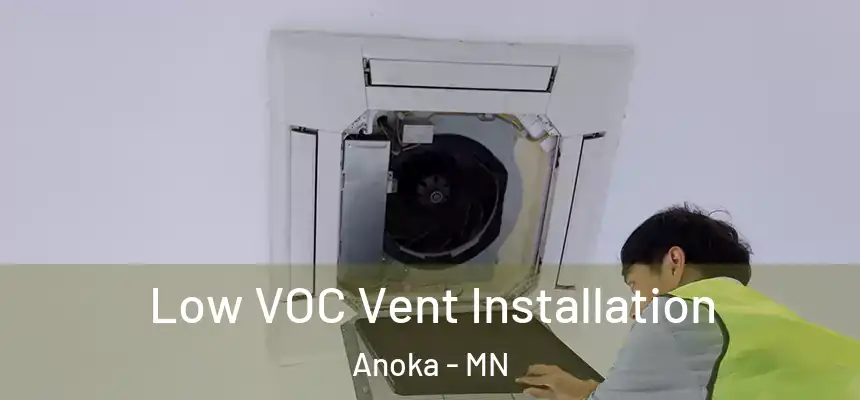  Low VOC Vent Installation Anoka - MN