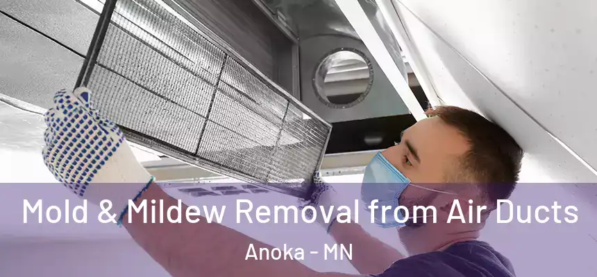  Mold & Mildew Removal from Air Ducts Anoka - MN