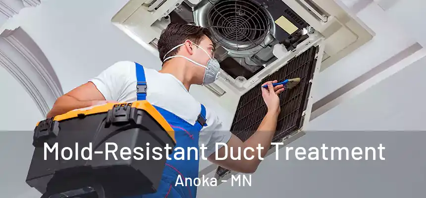  Mold-Resistant Duct Treatment Anoka - MN