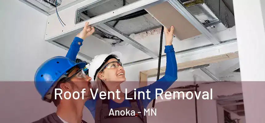  Roof Vent Lint Removal Anoka - MN