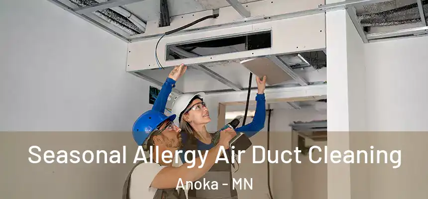  Seasonal Allergy Air Duct Cleaning Anoka - MN