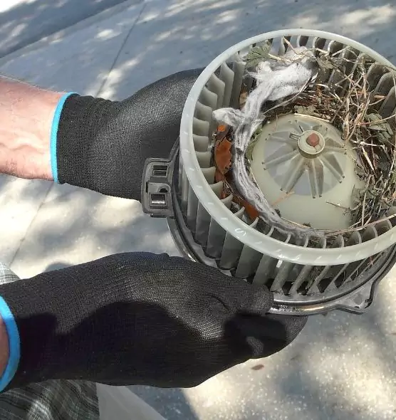 About Air Duct Mice Removal in Anoka, MN