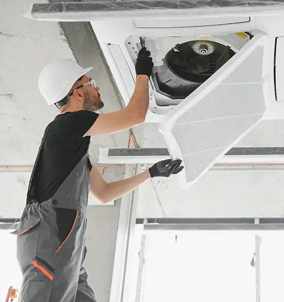 About Air Duct Rodent Removal in Anoka, MN