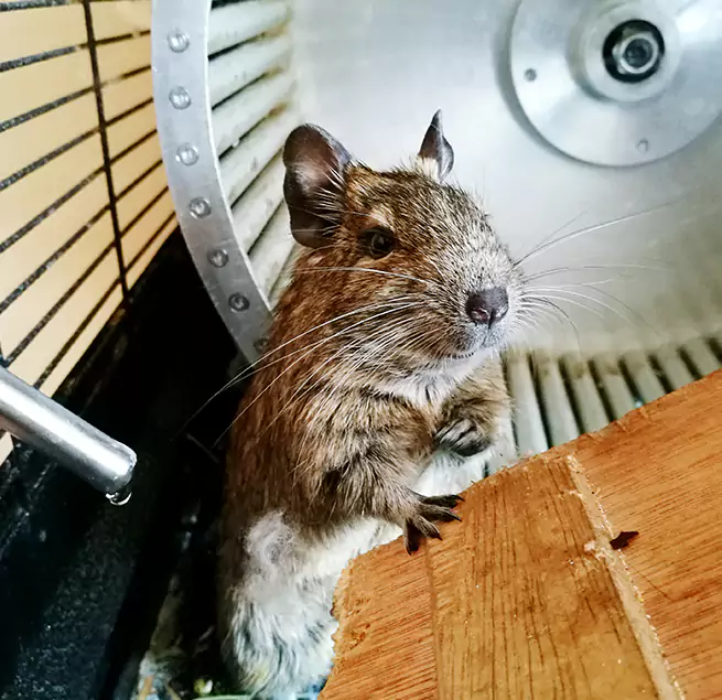 Why Homeowners & Businesses Trust Us Anoka, MN?