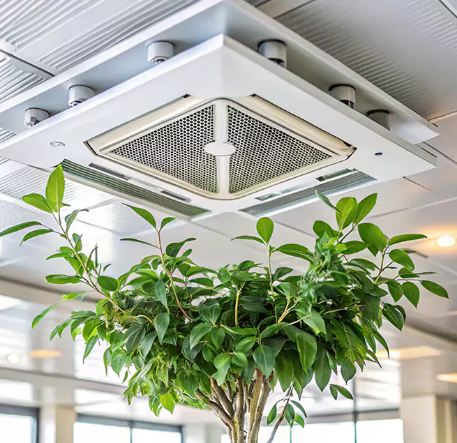 Why Homeowners & Businesses Trust Us in Anoka, MN?