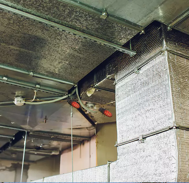 Why Homeowners & Businesses Trust Us Anoka, MN?